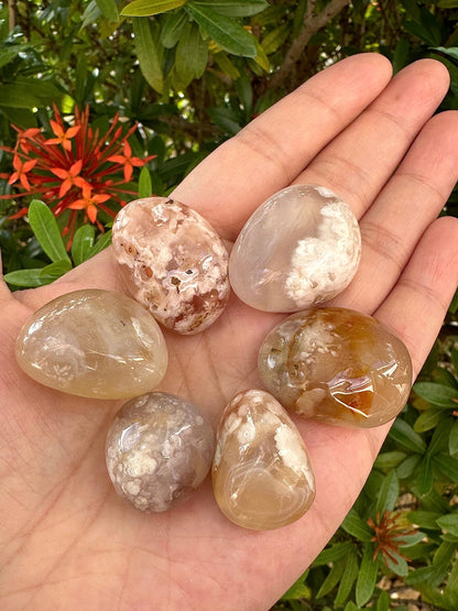 GAF TREASURES 5 Pcs Flower Agate Tumbled Stones, Polished Natural Flower Agate Gemstone, Flower Agate Healing Crystals (Flower Agate)