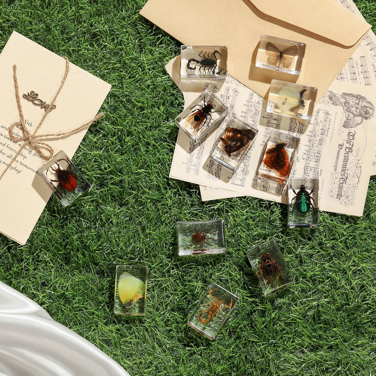 12 Pcs Insect in Resin Collection - Educational Bugs Specimen Set for Kids, Perfect for Preschool, Classroom Science, and Home Displays