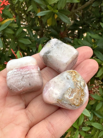 GAF TREASURES 5 Pcs Pink Opal Tumbled Stones, Polished Pink Opal Gemstone, Pink Opal Healing Crystals (Pink Opal)