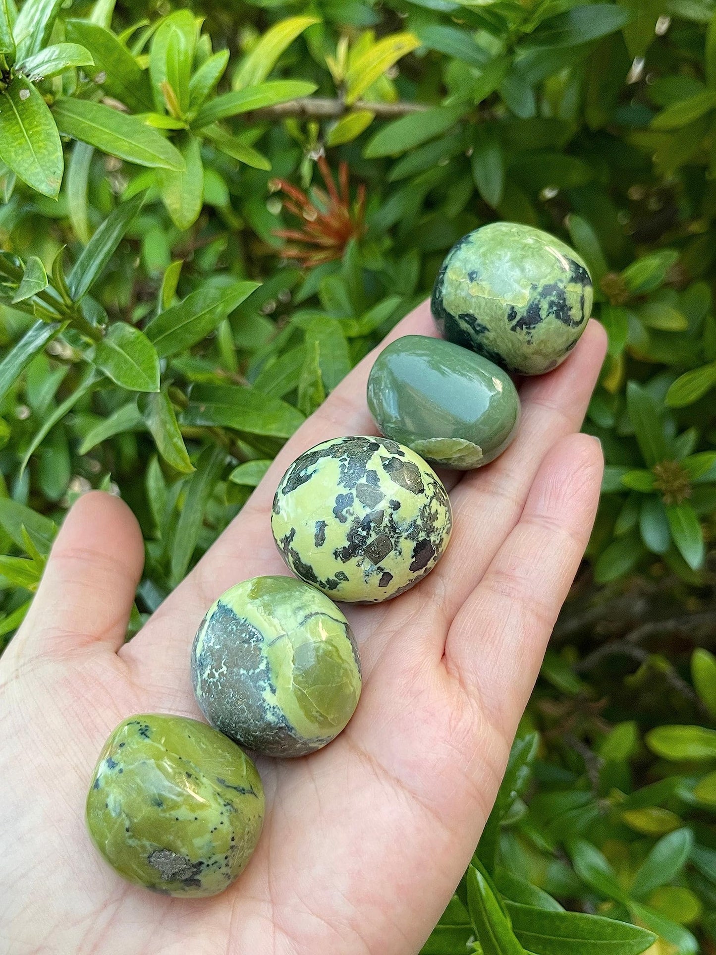 WHOLESALE Serpentine Tumbled Stones, Polished Serpentine Gemstone, Serpentine Polished Rocks (Serpentine, 0.25 Pound)