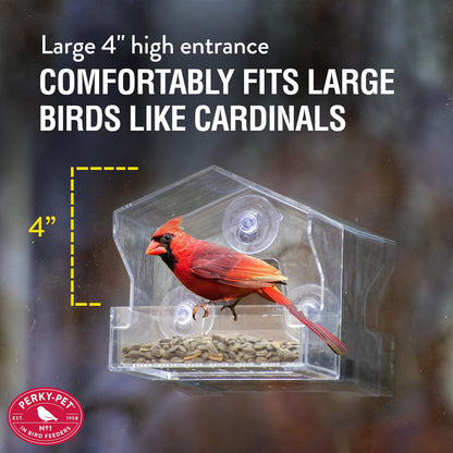 Perky-Pet Clear Outdoor Window Bird Feeder with Strong Suction Cups – 1/2 Lb Seed Capacity - Perky Pet 345 - Entertaining Bird Feeding - Watch Birds Eat Seeds