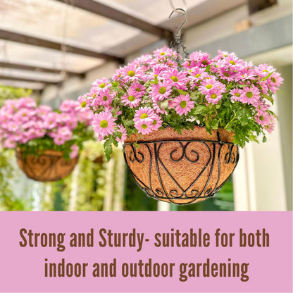 LaLaGreen Hanging Baskets for Plants (10 Inch, 2 Pack) Small Hanging Flower Pots with Coco Liner, Black Metal Wire Round Plant Holder with Hanger Hook Chain Outdoor Deck Patio Balcony Garden Decor
