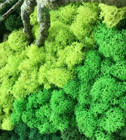 LVZHIHUAN Moss Wall decor Real Preserved Moss No Maintenance Required Eco Natural Green Wall Art Moss Frame Living Plants Vertical Garden 19.7 x13.8inch,Black Frame