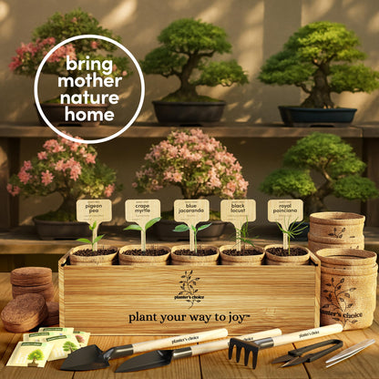 Planter's Choice Bonsai Tree Starter Kit - Mothers Day Gifts for Women, Men - Birthday Gifts for Adults - Indoor Live House Plants - DIY for Adults Craft Kits - Unique Hobby Gift Gardening Lovers