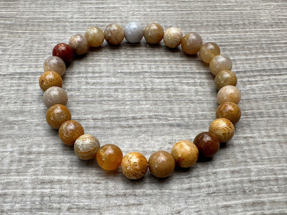 GAF TREASURES Fossil Coral Crystal Bead Bracelet 8mm, Genuine Fossil Coral Stretch Gemstone Bracelet, Healing Crystal Bracelet, Gift for Men & Women (1)