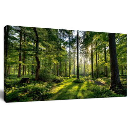 Tarfupth Large Forest Wall Art for Living Room Green Woodland Landscape with Sunlight Modern Nature Wall Decor for Bedroom Office Home Decor 20"x40"