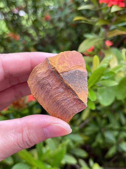 GAF TREASURES Wholesale Raw Tiger Eye Crystals, Natural Tiger Eye Stone, Natural Rough Tiger Eye Crystals, Tiger Eye Rough, Tiger Eye Healing Crystals (Tiger Eye, 0.5 Pound)