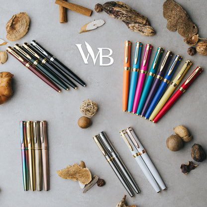 Wordsworth & Black Fountain Pen Set, Medium Nib, Includes 24 Ink Cartridges and Ink Refill Converter, Gift Case, Journaling, Calligraphy, Smooth Writing Pens [Silver Gold], Perfect for Men and Women