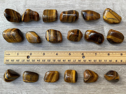 GAF TREASURES Wholesale Tiger Eye Tumbled Stones, Polished Natural Tiger Eye Gemstone, Tiger Eye Polished Rocks (Tiger Eye, 0.25 Pound)