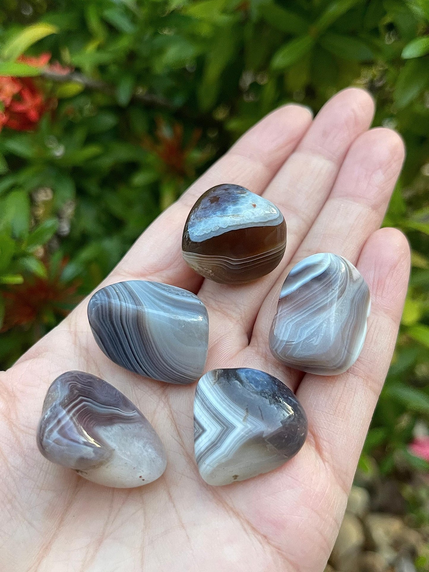 GAF TREASURES 5 Pcs Botswana Agate Tumbled Stones, Polished Natural Botswana Agate Gemstone, Botswana Agate Healing Crystals (Botswana Agate)