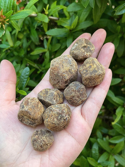 GAF TREASURES Wholesale Raw Garnet Crystals, Natural Garnet Stone, Natural Rough Garnet Crystals, Garnet Rough, Garnet Healing Crystals (Garnet, 0.25 Pound)