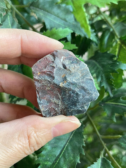 GAF TREASURES Wholesale Raw Bloodstone Crystals, Natural Bloodstone Stone, Natural Rough Bloodstone Crystals, Bloodstone Rough, Bloodstone Healing Crystals (Bloodstone, 0.5 Pound)