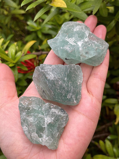 WHOLESALE Raw Green Fluorite Crystals, Natural Green Fluorite Stone, Natural Rough Green Fluorite crystals, Green Fluorite Rough, Green Fluorite Healing Crystals (Green Fluorite, 0.5 Pound)