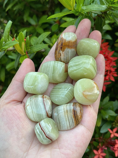 GAF TREASURES 5 Pcs Green Onyx Tumbled Stones, Polished Green Onyx Gemstone, Green Onyx Healing Crystals (Green Onyx)
