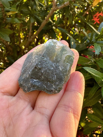 GAF TREASURES Wholesale Raw Tree Agate Crystals, Natural Tree Agate, Natural Rough Tree Agate Crystals, Tree Agate Healing Crystals (Tree Agate, 0.5 Pound)