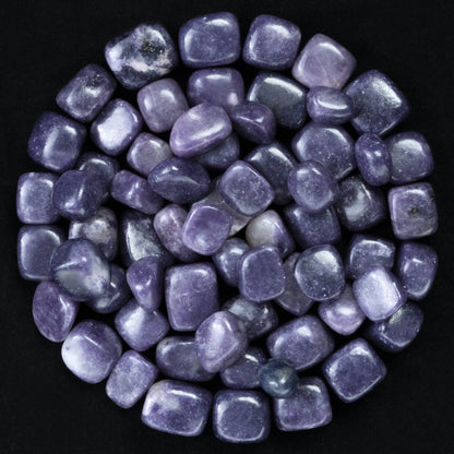 Crocon 1LB Lepidolite Tumbled Stones and Crystals bulk 2000+ Carats - Polished Stones - Rock Collection - vase Filler tumbles - Crystals Healing Reiki - Gemstone Gifts - Fountain tumbles | 20-25 mm,