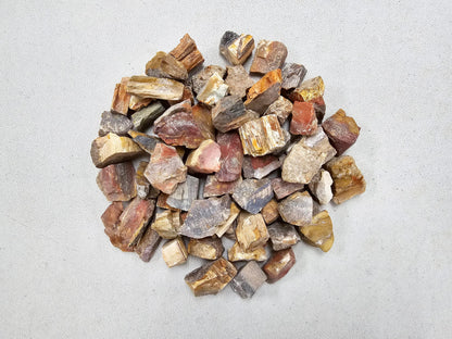 MINERALUNIVERSE Half Pound Petrified Wood Rough Stones - Bulk Petrified Wood - Raw Natural Stones & Crystals - Fountain Rocks for Tumbling, Polishing, Wire Wrapping, Reiki, Chakra Crystal Healing
