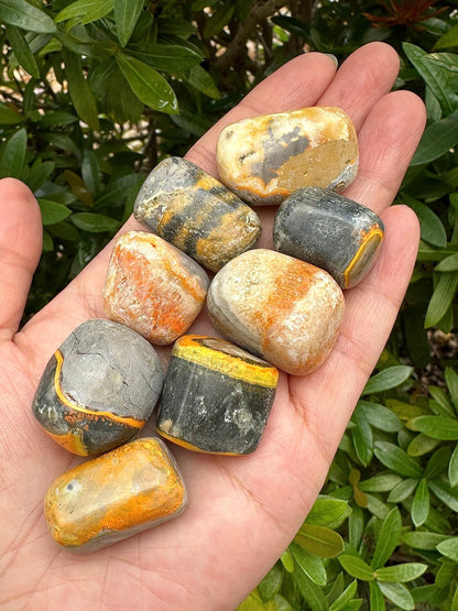 GAF TREASURES 5 Pcs Bumble Bee Jasper Tumbled Stones, Polished Bumble Bee Jasper Gemstone, Bumble Bee Jasper Healing Crystals (Bumble Bee Jasper)