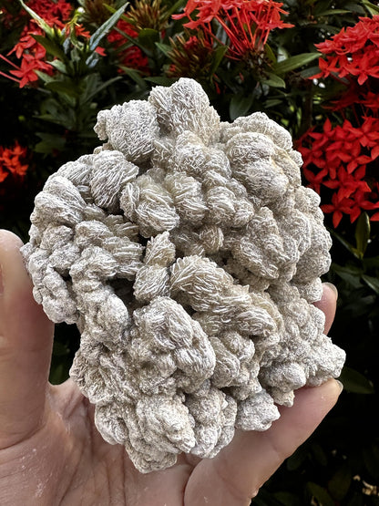 GAF TREASURES XL Raw Desert Rose, 3-4" Natural Rough Desert Rose, Desert Rose Rough, Desert Rose Healing Rough Crystal (Desert Rose, 0.5-1 lb)