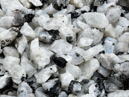 GAF TREASURES Wholesale Raw Rainbow Moonstone Crystals, Natural Rainbow Moonstone Stone, Rainbow Moonstone Rough, Rainbow Moonstone Healing Crystals (Rainbow Moonstone, 0.25 Pound)