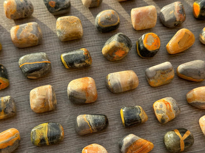 GAF TREASURES 5 Pcs Bumble Bee Jasper Tumbled Stones, Polished Bumble Bee Jasper Gemstone, Bumble Bee Jasper Healing Crystals (Bumble Bee Jasper)