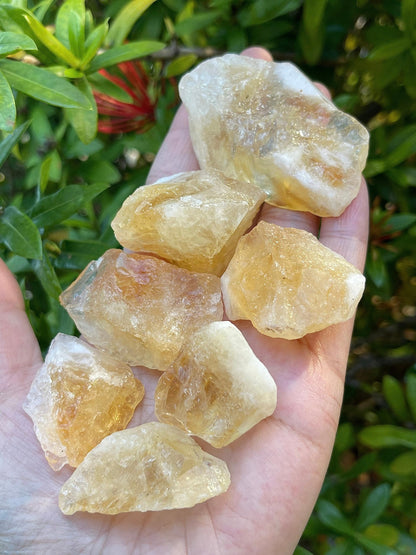 GAF TREASURES 3 Pcs Raw Citrine Crystals, Natural Citrine Stone, Natural Rough Citrine Crystals, Citrine Rough, Citrine Healing Crystals (Citrine)