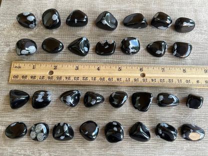 GAF TREASURES 5 Pcs Snowflake Obsidian Tumbled Stones, Polished Natural Snowflake Obsidian Gemstone, Snowflake Obsidian Healing Crystals (Snowflake Obsidian)