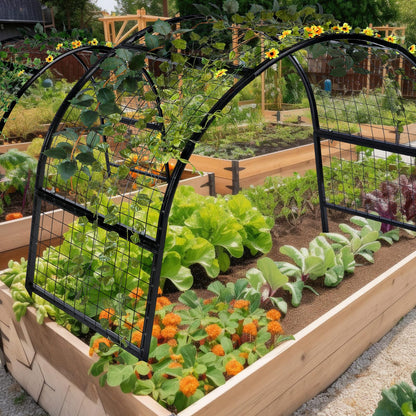 Newtay Arch Trellis for Planter Box Garden Wide Arbor Trellis Metal Arbor for Climbing Plants, Vegetables and Flowers Decorative Outdoor(Black,6 x 2 x 6 ft)