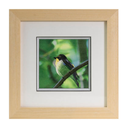 Ebherys Hunan Hand Embroidery Artwork, Handmade Paintings with Wood Frame Hanging on the wall as Room Decoration Home Accessories, Meaningful Gifts for Mother Daughter and Friends (Robinbird)