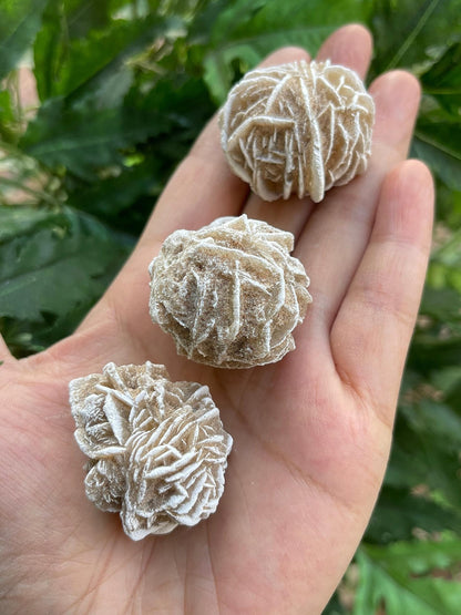 GAF TREASURES Wholesale Raw Desert Rose Crystals, Natural Desert Rose Stone, Natural Rough Desert Rose Crystals, Desert Rose Rough, Desert Rose Healing Crystals (Desert Rose, 0.25 Pound)