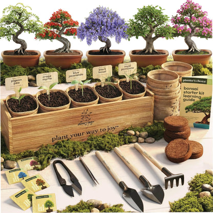 Planter's Choice Bonsai Tree Starter Kit - Mothers Day Gifts for Women, Men - Birthday Gifts for Adults - Indoor Live House Plants - DIY for Adults Craft Kits - Unique Hobby Gift Gardening Lovers