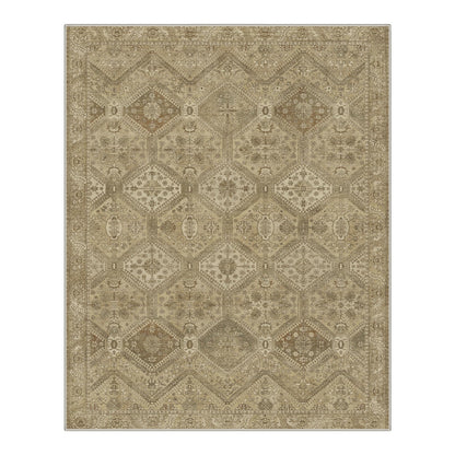 GENIMO Area Rug 2x3 Doormat, Machine Washable Low Pile Rugs, Small Retro Entryway Mat for Entrance, Hallway, Kitchen and Corridor, Tan Brown