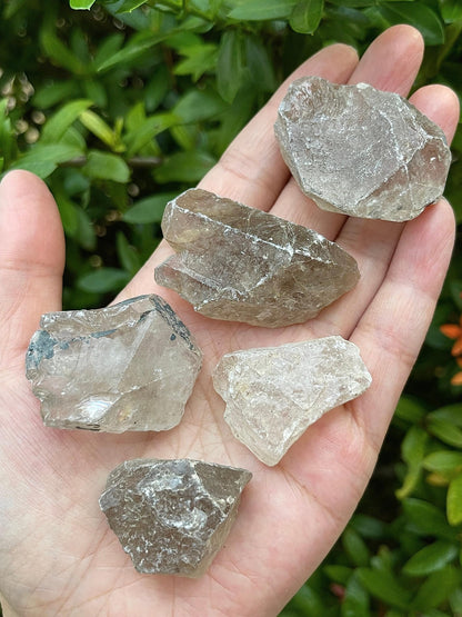 GAF TREASURES Wholesale Raw Smoky Quartz Crystals, Natural Smoky Quartz Stone, Natural Rough Smoky Quartz Crystals, Smoky Quartz Rough, Smoky Quartz Healing Crystals (Smoky Quartz, 0.5 Pound)