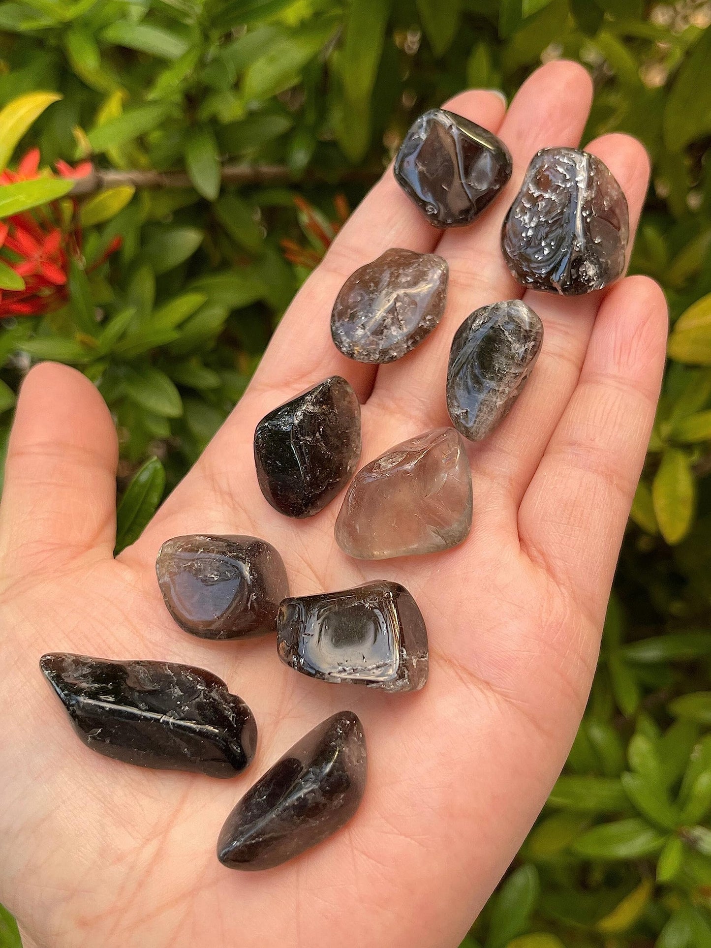 GAF TREASURES 5 Pcs Smoky Quartz Tumbled Stones, Polished Smoky Quartz Gemstone, Smoky Quartz Healing Crystals (Smoky Quartz)