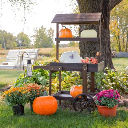 Sunnydaze Country Market Flower Cart Display Stand with Wheels - 2 Shelves - Fir Wood - 30 lb Weight Capacity - Charred Fir