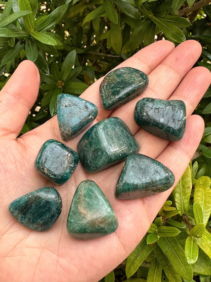 GAF TREASURES 5 Pcs Apatite Tumbled Stones, Polished Apatite Gemstone, Apatite Healing Crystals (Apatite)