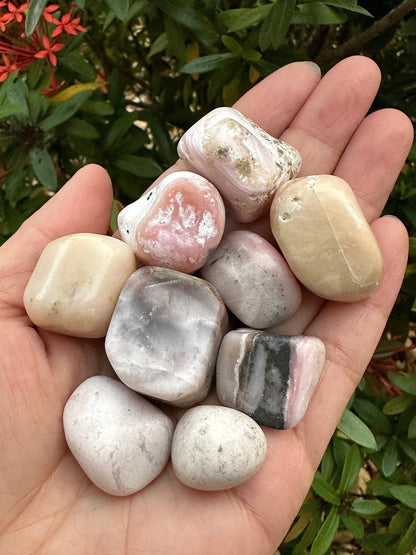 GAF TREASURES 5 Pcs Pink Opal Tumbled Stones, Polished Pink Opal Gemstone, Pink Opal Healing Crystals (Pink Opal)
