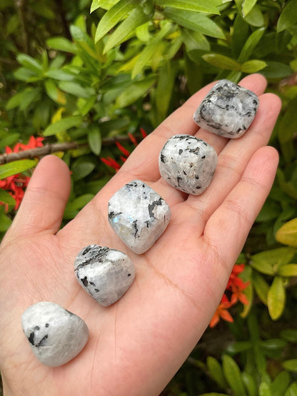 GAF TREASURES 5 Pcs Rainbow Moonstone Tumbled Stones, Polished Rainbow Moonstone Gemstone, Rainbow Moonstone Healing Crystals (Rainbow Moonstone)