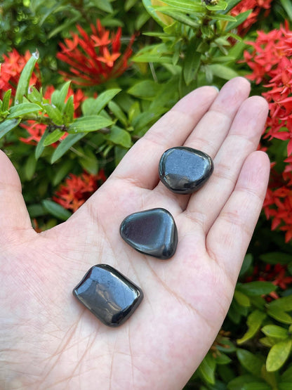 GAF TREASURES 5 Pcs Shungite Tumbled Stones, Polished Natural Shungite Gemstone, Shungite Healing Crystals (Shungite)