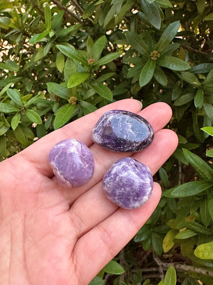 GAF TREASURES 5 Pcs Lepidolite Tumbled Stones, Polished Lepidolite Gemstone, Lepidolite Healing Crystals (Lepidolite)