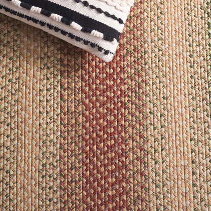 SAFAVIEH Washable Rug Outdoor Braided Collection - 5' x 8' Oval, Rust & Multi, Handmade & Reversible, Non-Shedding & Easy to Clean, Ideal for Patio, Backyard, Mudroom (BRD303A)