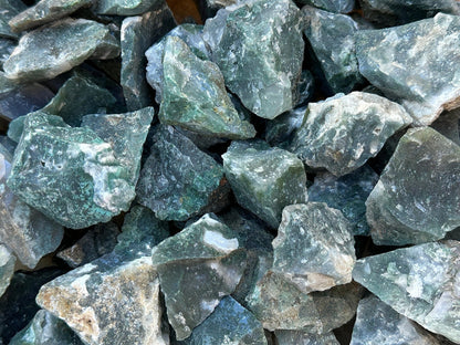 GAF TREASURES Wholesale Raw Tree Agate Crystals, Natural Tree Agate, Natural Rough Tree Agate Crystals, Tree Agate Healing Crystals (Tree Agate, 0.5 Pound)