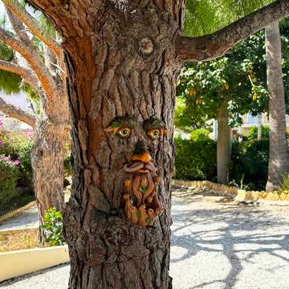 Mood Lab Tree Face Decor - Outdoor Bird Feeder with Acorns - Old Man Tree Face Garden Hugger Decoration