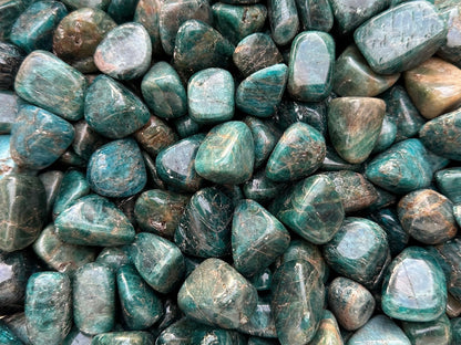 GAF TREASURES 5 Pcs Apatite Tumbled Stones, Polished Apatite Gemstone, Apatite Healing Crystals (Apatite)
