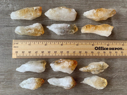 GAF TREASURES Wholesale Citrine Points, Natural Citrine Points, Citrine Points Healing Crystals (Citrine Points, 0.25 Pound)