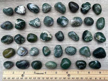 GAF TREASURES 5 Pcs Moss Agate Tumbled Stones, Polished Natural Moss Agate Gemstone, Moss Agate Healing Crystals (Moss Agate)