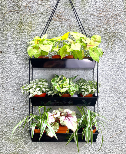 LaLaGreen 16 Inch Wall Mounted Tiered Planter for Indoor Succulent Plants, 3 Tier Modern Black Rectangular Metal Planter